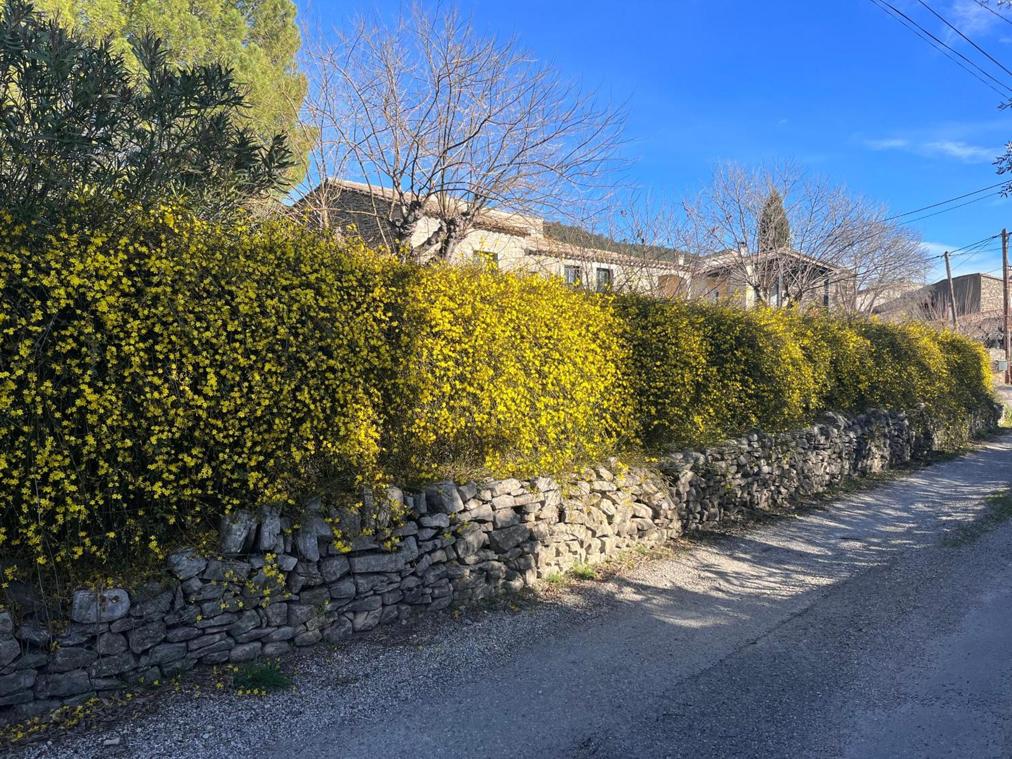 L'Ostal Du Pic Saint Loup Aux Embruscalles Claret Ngoại thất bức ảnh